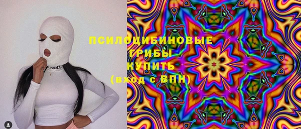 тгк Вяземский