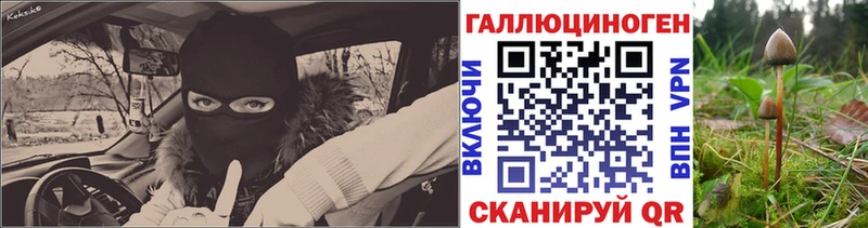 Купить закладки  Кохма  Галлюциногенные грибы ЛСД 